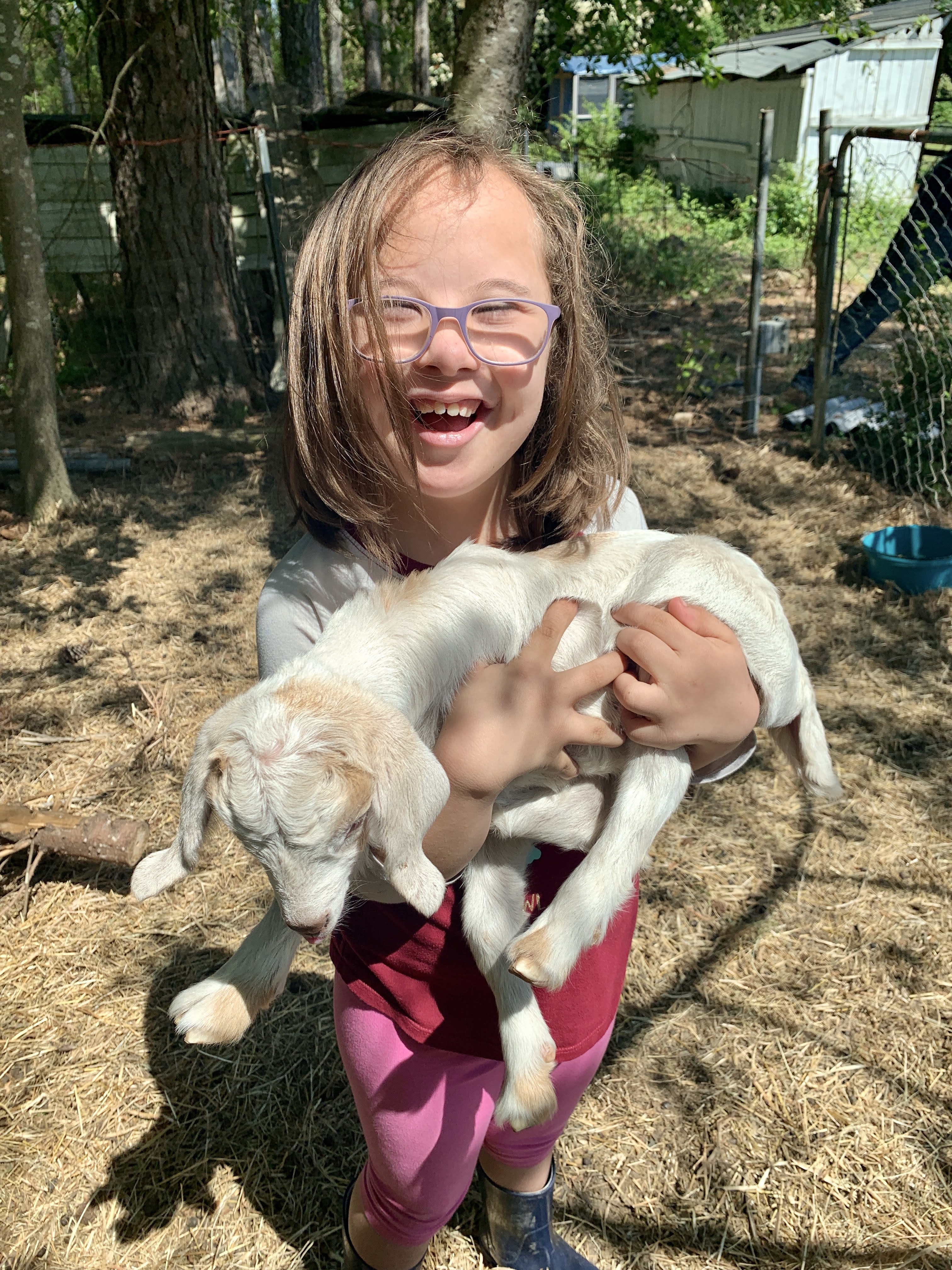 baby goaties